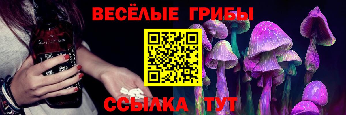 Псилоцибиновые грибы мицелий Кизилюрт
