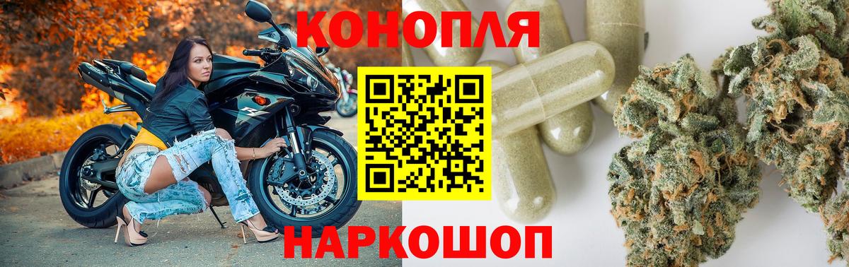 Бошки марихуана план Кизилюрт